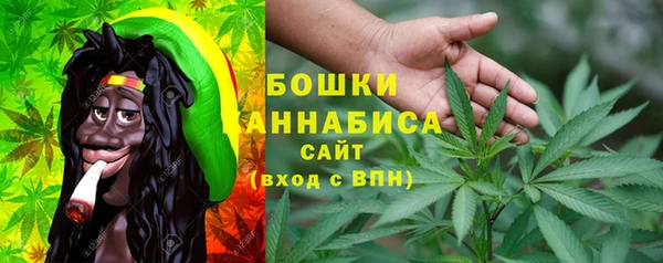 шишки Алексин